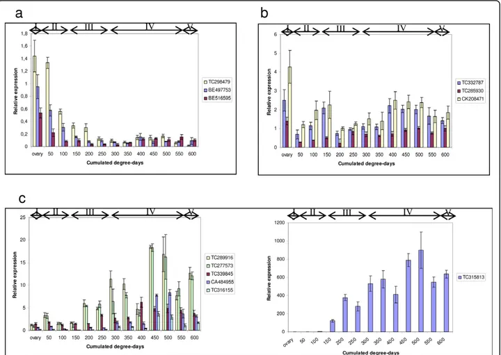 Figure 7 Relative expression of twelve Dof genes in developing seeds of T. aestivum cv