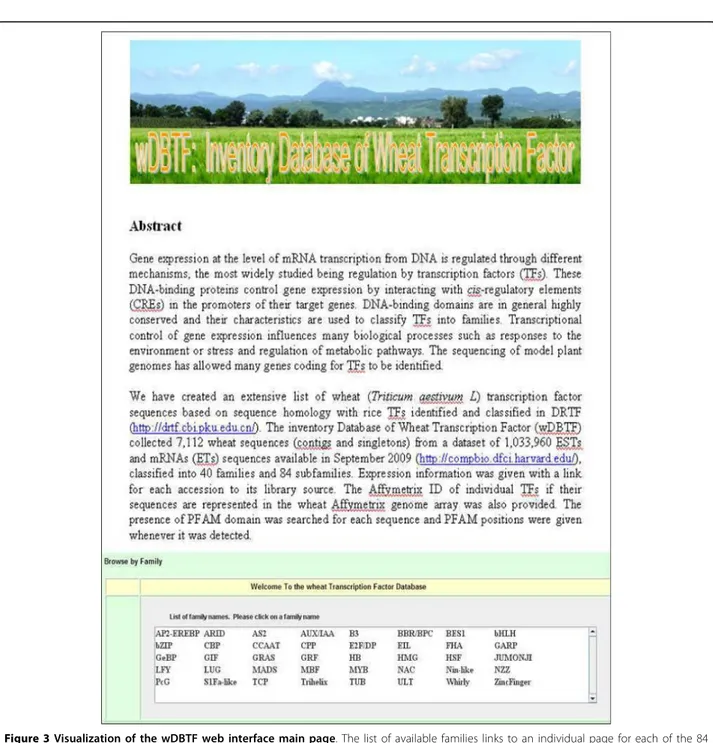 Figure 3 Visualization of the wDBTF web interface main page. The list of available families links to an individual page for each of the 84 analyzed TF subfamilies and then to the results page from which wheat sequences and additional information can be dow