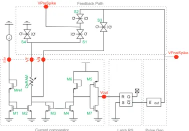 Fig. 4. Schematic view of the analyzed neuron circuit.