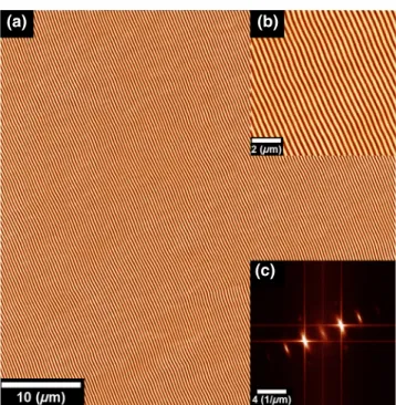 FIG. 2. (a) 50 × 50 µm 2 MFM image recorded at rema- rema-nence after a saturation at 800 Oe