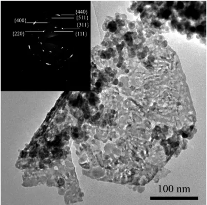 Figure 1.8 : Image MET de la phase secondaire Co 3 O 4  et diffraction électronique associée de la  poudre 1,8CT.