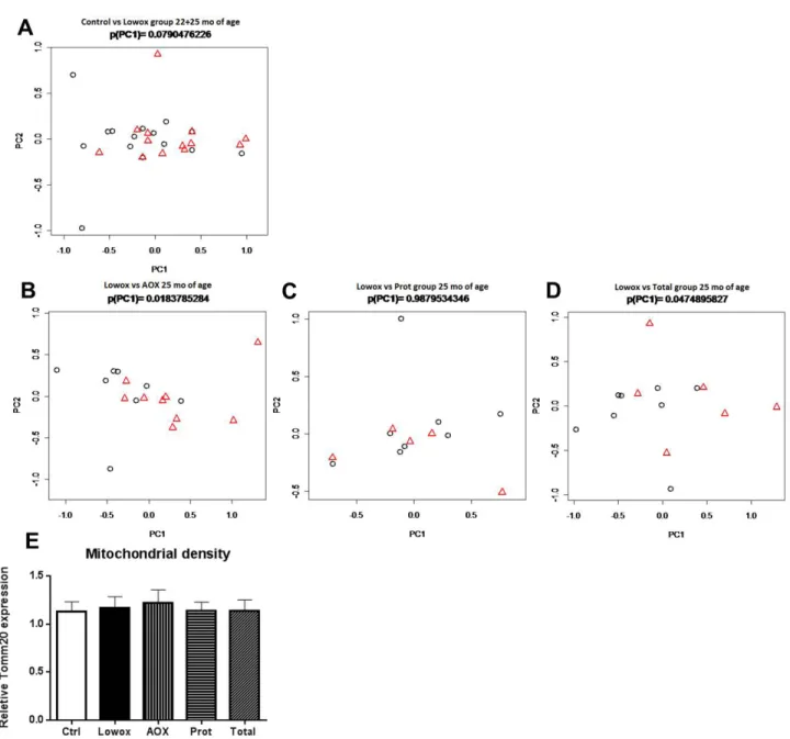 Figure 7: Mitochondrial dynamics.  PCA-based modulation of mitochondrial dynamics using all seven mitochondrial dynamics- dynamics-related genes at age t = 25 months between respectively AOX A