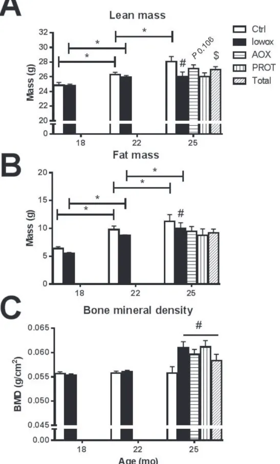 Figure 4: Body composition analyzed by DEXA.  A. Lean mass; B. fat mass and C. bone mineral density