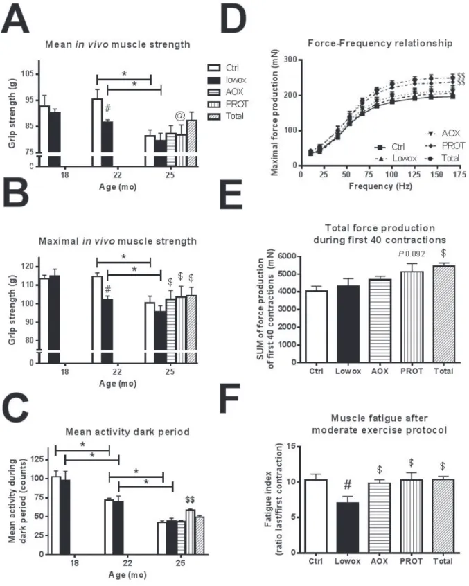 Figure 5: Muscle functionalities.  A. Absolute maximal forelimb strength values. At t0 and t4: ctrl n = 43 and lowox n = 42, at t7: ctrl n 