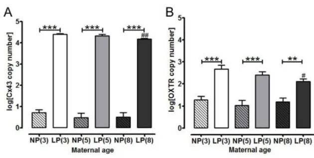 Figure 7.  Effect of maternal age on spontaneous contractile activity in myometrium from non-pregnant and late preg- preg-nant mice