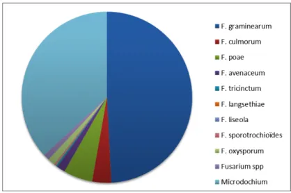 Figure 5 :  Composition de la  flore fusarienne en 2012 et  2013 identifiée dans les 47  enquêtes analysées (en  pourcentage)