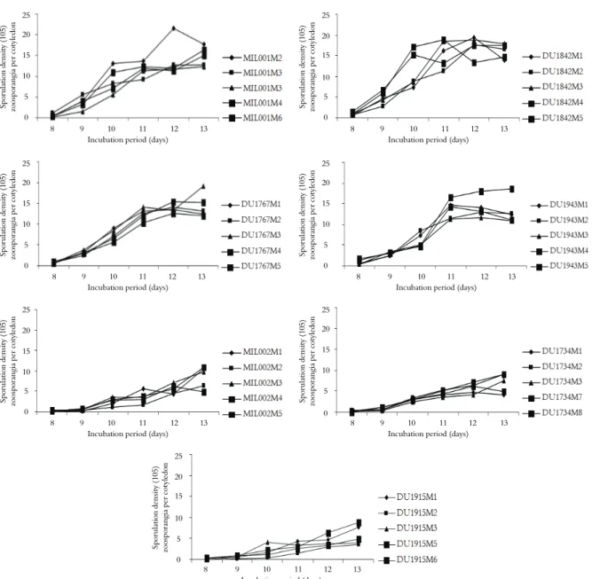 Figure 2. Sporulation density of Plasmopara halstedii isolates of seven races on sunflower inbred line `FU`, based on incubation period