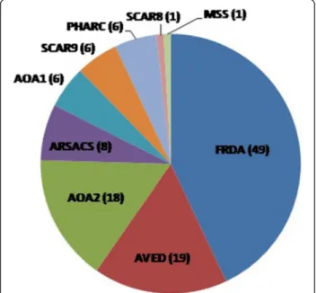 Fig. 1 Patients of the Algerian cohort with identified forms of ARCA.