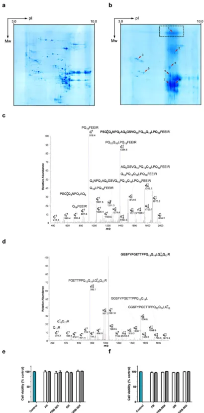 Figure 5.  Proteomics and cytotoxicity analysis of n-butylamine bioconjugated gluten. Two-dimensional  electrophoresis pattern (IEF  ×   SDS-PAGE) of the gluten, original (a) and derivatised with n-butylamine (b) as  amine nucleophile under reducing condit
