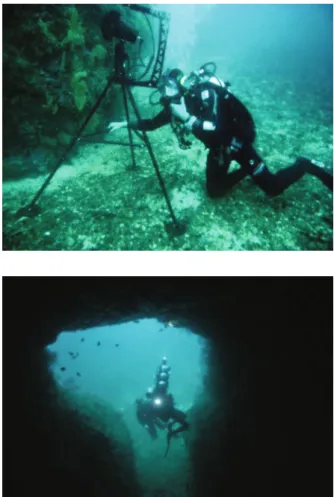 Fig. 14.5 The acoustic camera in situ, just in front of the cave—see next