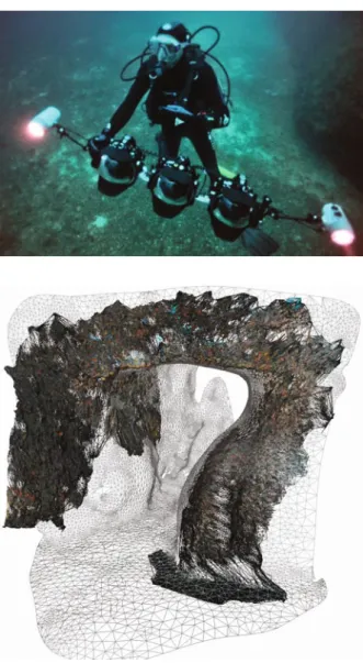 Fig. 14.7 The