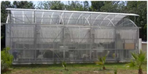 Fig. 2. Our experimental greenhouse system