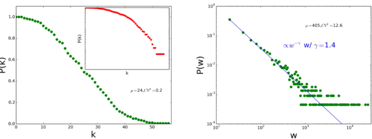 Figure 5. Left: cumulative degree distribution P(k) of the contact network aggregated over the whole study duration, i.e., probability that a randomly chosen node has degree ≥ k