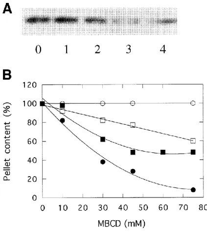 Fig. 1. Characterization of chromaffin granule membranes treated with methyl--cyclodextrin