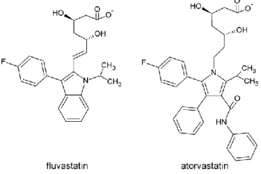 Figure 1. Chemical structures of fluvastatin (left) and atorvastatin (right). Pharmacokinetic data show plasma  statins concentration in the nM range