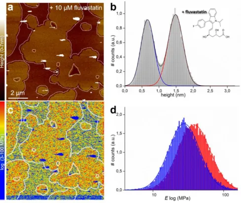 Figure 3)  PF-QNM  AFM  Topography  and  Elasticity  mapping  of  DOPC:DPPC  (1:1)  SLBs  after  addition  of  fluvastatin