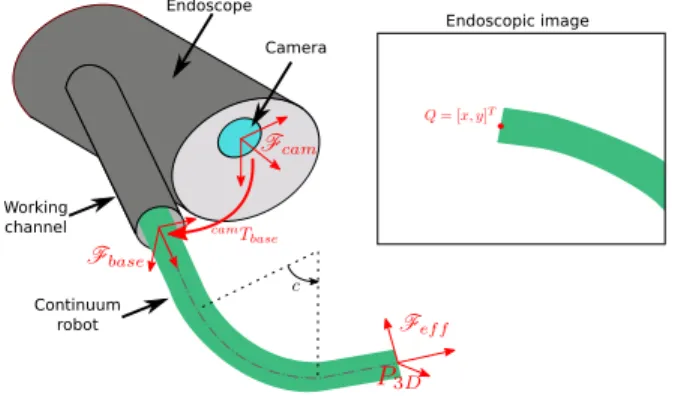 Fig. 1. Example view of the considered systems. Here c is the configuration variable representing bending of a bending section of the robot