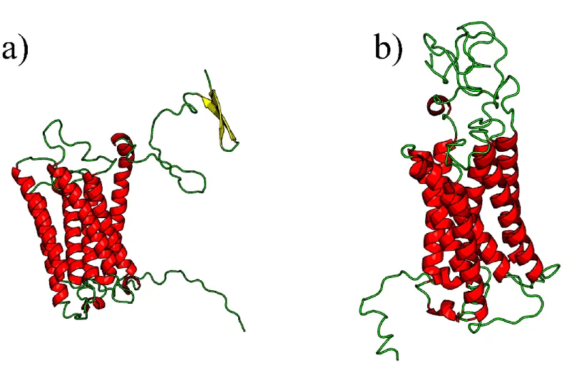Figure III. The two selected structural models. They are shown thanks [113] to PyMol software 