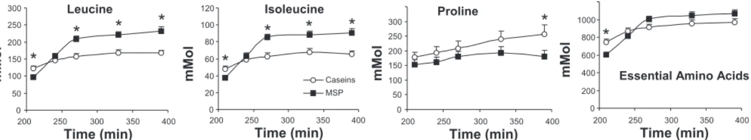 Fig. 4. Caseins improve leucine balance in the postprandial state after 6 wk of energy restriction