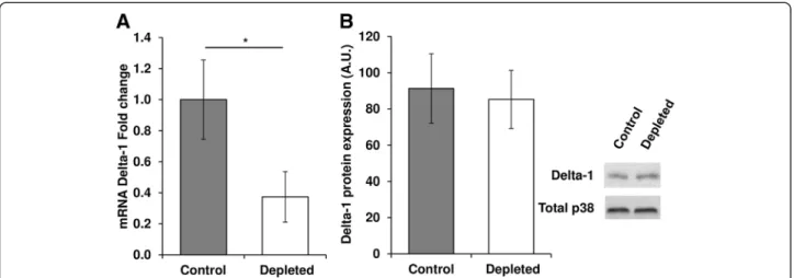 Figure 5 Effect of vitamin D depletion on Delta-1 transcript levels and protein expression in old rats