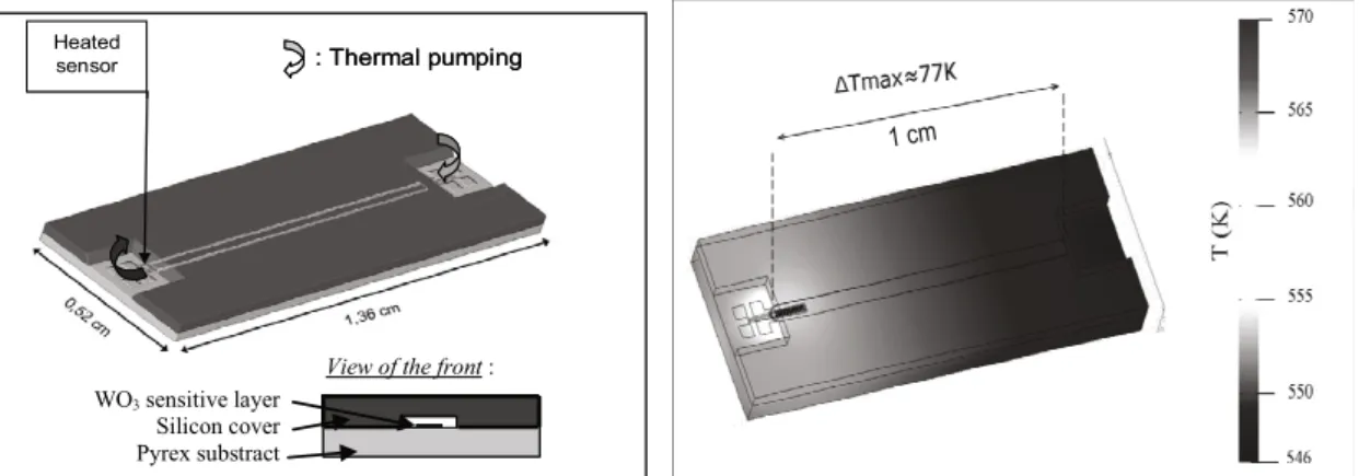 Fig. 1: (a) Microfluidic device design; (b) Thermal simulation of heat gradient in the microsystem for heater at 623 K: 