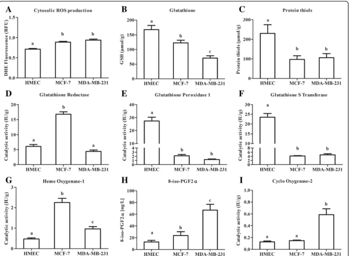 Fig. 1 Basal oxidative status of human mammary epithelial cells. a: Basal fluorescence of dihydroethidine (DHE) for cytosolic ROS production.