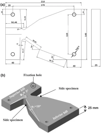 Fig. 1 a Dimensions of the wood specimen. b Spatial orientation of the wood specimen