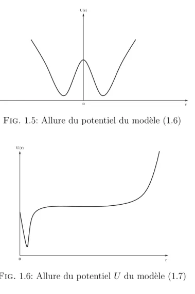 Fig. 1.5: Allure du potentiel du modèle (1.6)