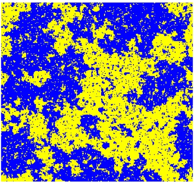 Fig. 5.1: Simulation du modèle d’Ising 2D à la température critique