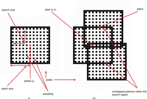 Figure 5. The proposed optical flow algorithm formulation: patch size = 10, search size = 10, sampling value = 2