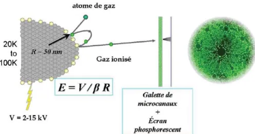 Figure 4  : Principe de la formation des images en microscopie ionique 1 . 