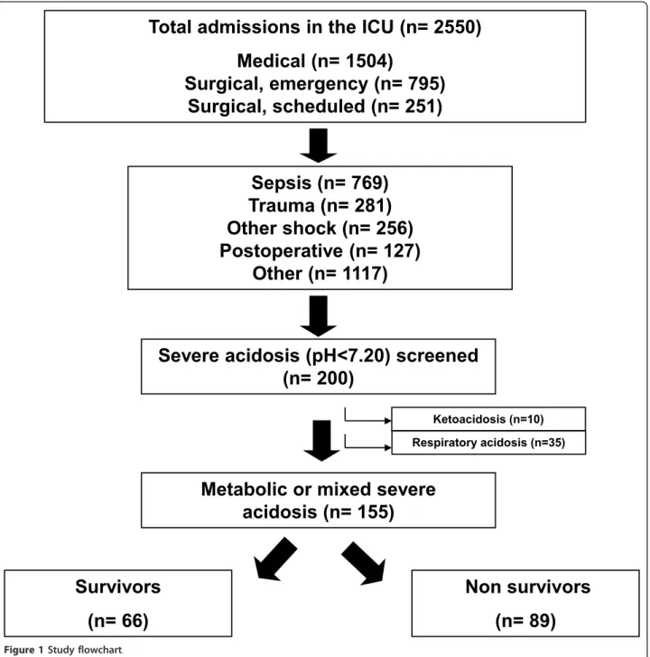 Figure 1 Study flowchart.