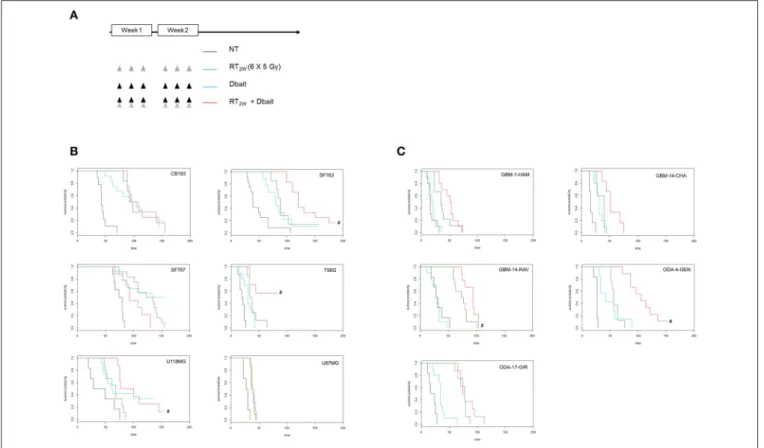 FIGURE 4 | Effect of Dbait combined with radiation in vivo. (A) Xenograft models were treated with hypofractionated radiotherapy (RT; 6x5Gy in 2 weeks; green), Dbait (6 local administrations in 2 weeks; blue) or a combination of Dbait and RT (red) or untre