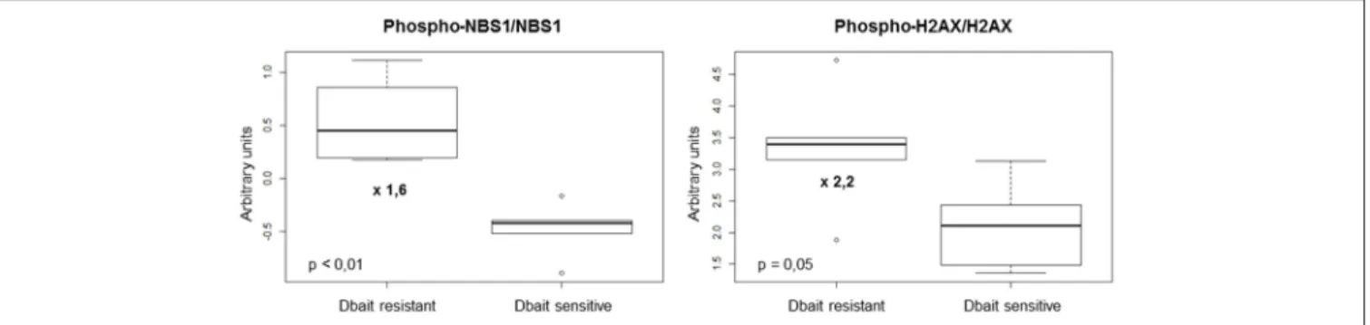 FIGURE 5 | Markers involved in Dbait treatment resistance. We analyzed a total of 88 proteic markers (see Table S1) to explore tyrosine kinase signaling, SAPK/JNK signaling, stress signaling, DNA repair, PI3K pathway, apoptosis, cell cycle, adhesion/cytosk