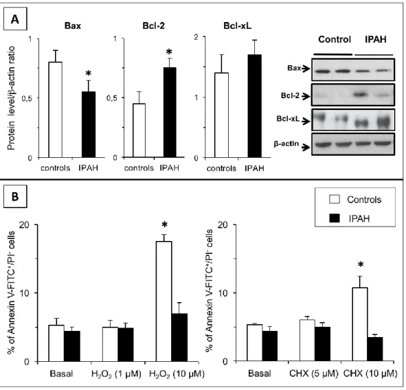Figure 3. Apoptosis resistance in IPAH. (A) Expression levels of pro- and anti-apoptotic proteins Bax, 