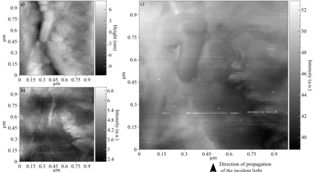 Figure 3:1 µm × 1 µm scanning images of the gold surface a) Topography b) Intensity of the elastically  scattered light c) Intensity of the luminescence