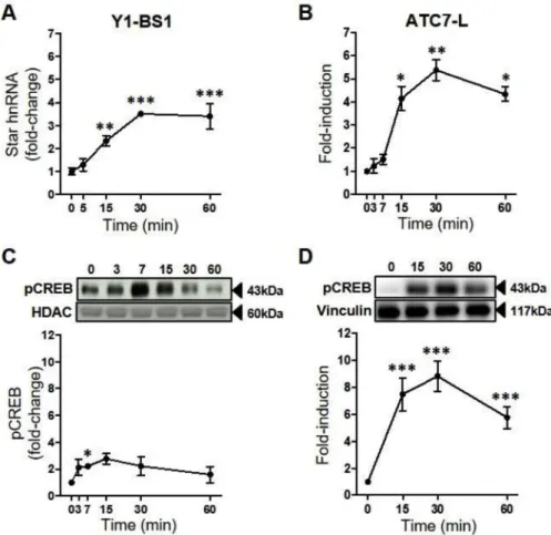 Fig. 4C). Binding of CRTC3 to the Star promoter was detected by 15 min (P = 0.001), the earlier point measured, and remained at similar levels at 30 min (P &lt; 0.001).
