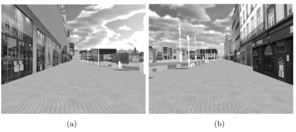 Figure 3.21 – Quelques exemples d’images issues de la caméra virtuelle mètres chacune.
