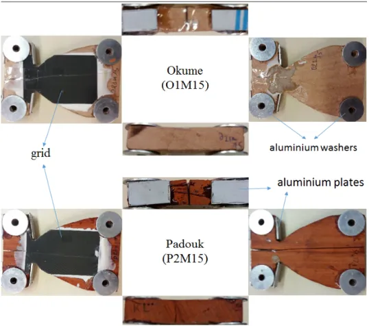 Figure 6: Typical MMCG specimens equipped with grids.