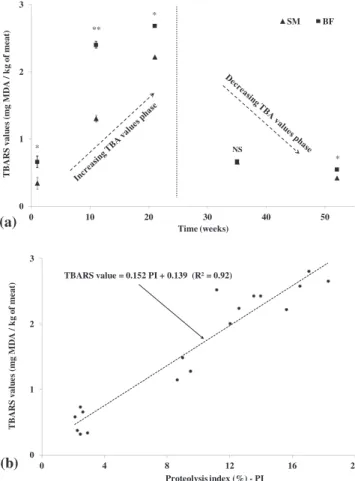 Fig. 3a shows the time course of TBARS values at those stages when proteolysis degradation was assessed