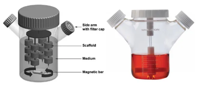 Figure 2.1 – The spinner flask bioreactor. Left : Schematic representation [Rauh et al., 2011]