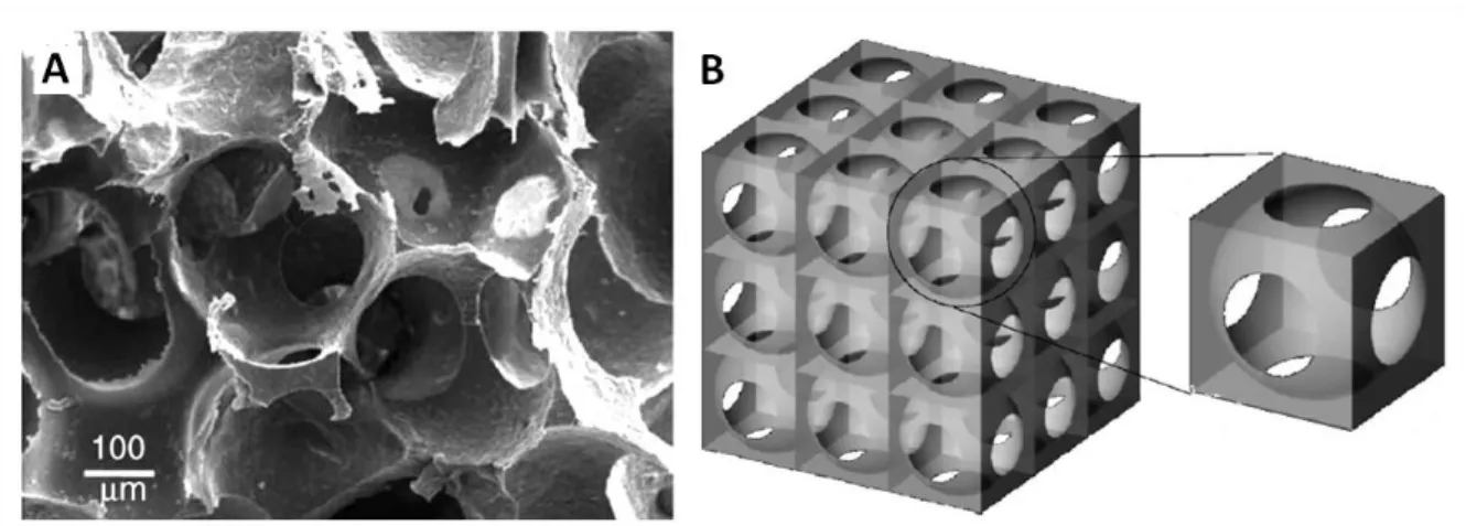 Figure 3.1 – Regular scaffold used in [Boschetti et al., 2006]. A : SEM image of a PDLLA scaffold made by particulate leaching