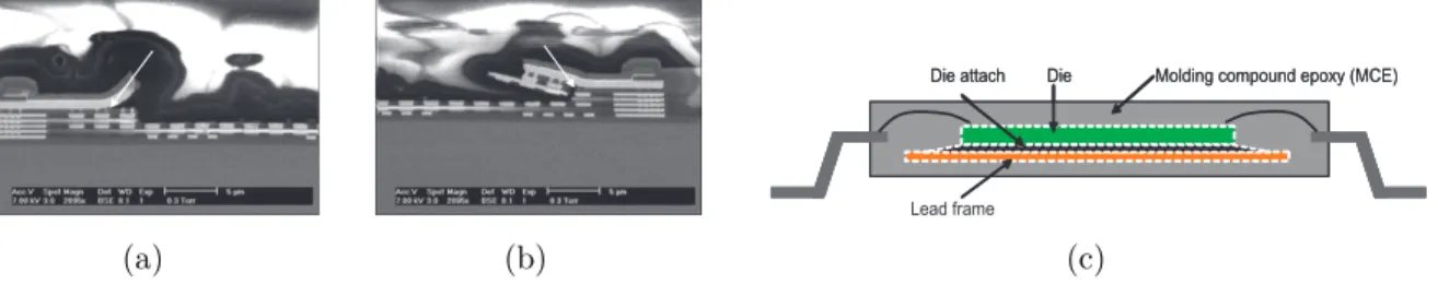 Figure 1. (a,b) SEM micrographs (arrows) showing delamination between copper metal lines and dielectric material in back end structures (Courtesy of NXP Semiconductors)