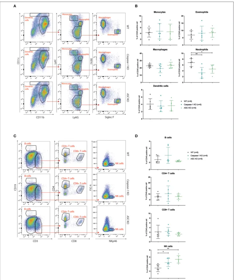 FIGURE 4 | Caspase-1 or ASC deficiency improves NK cell recruitment 14 days post-injection
