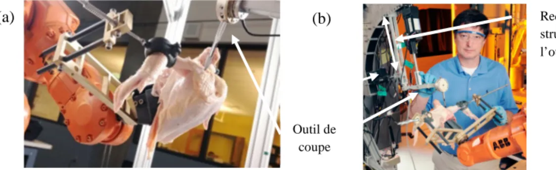 Figure 1-32: Désossage robotisé de poulet, préparation de la coupe au niveau de l’épaule (a),  redondance structurale associé à l’outil de coupe (b) [Ai-Ping et al