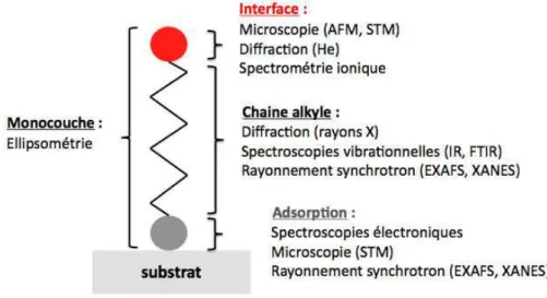 Figure 10 – Sch´ema repr´esentant les informations apport´ees sur les SAMs par quelques techniques d’´etude de surface