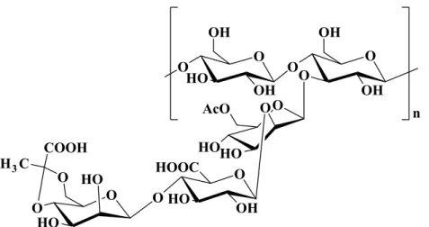 Figure I.10 : Structure de l’unité de répétition du xanthane produit par Xanthomonas campestris  (d’après Nankai et coll., 1999)