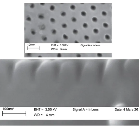 Figure II-14: Images MEB d’une surface nanopreuse de silicium et une coupe transversale de  cette surface après un bombardement ionique