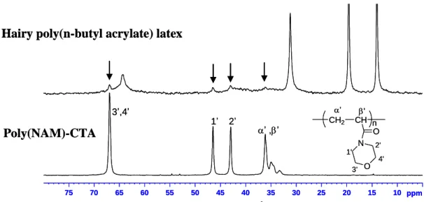 Figure 3:  13 C NMR analyses of hairy poly(n-butyl acrylate) latex and poly(NAM)-CTA  free  polymer  chains  used  for  the  synthesis  of  the  hairy  latex  (enlargement  of  the  area  between 5 and 80 ppm).