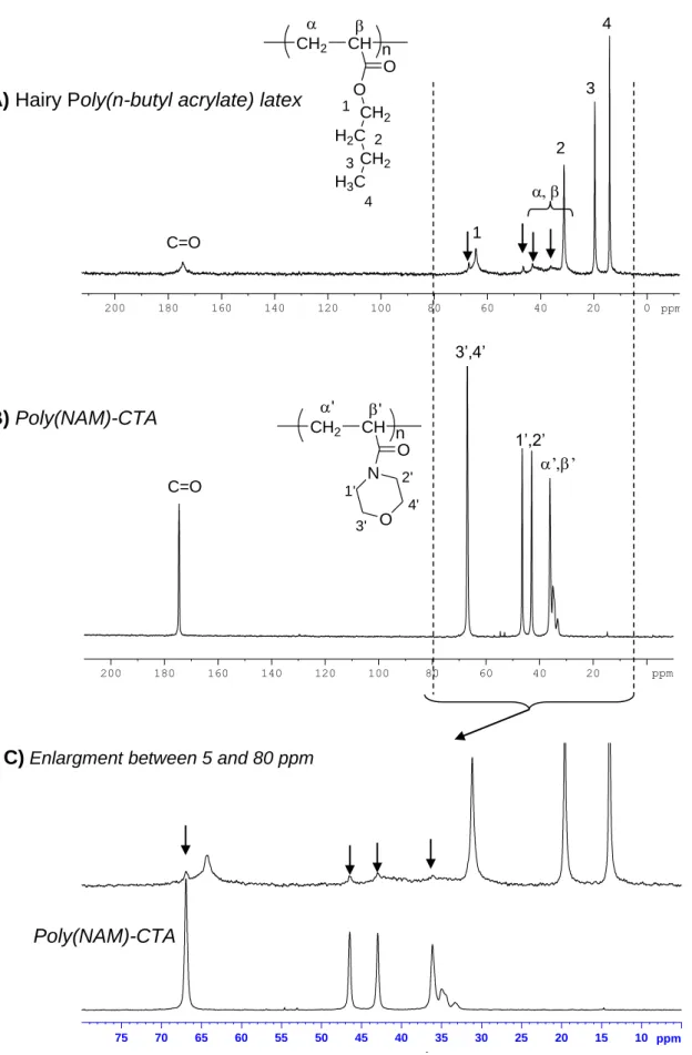 Figure 1:  13 C NMR analyses of A) hairy poly(n-butyl acrylate) latex and B) poly(NAM)- poly(NAM)-CTA free polymer chains used for the synthesis of the hairy latex and C) enlargement of  the area between 5 and 80 ppm.
